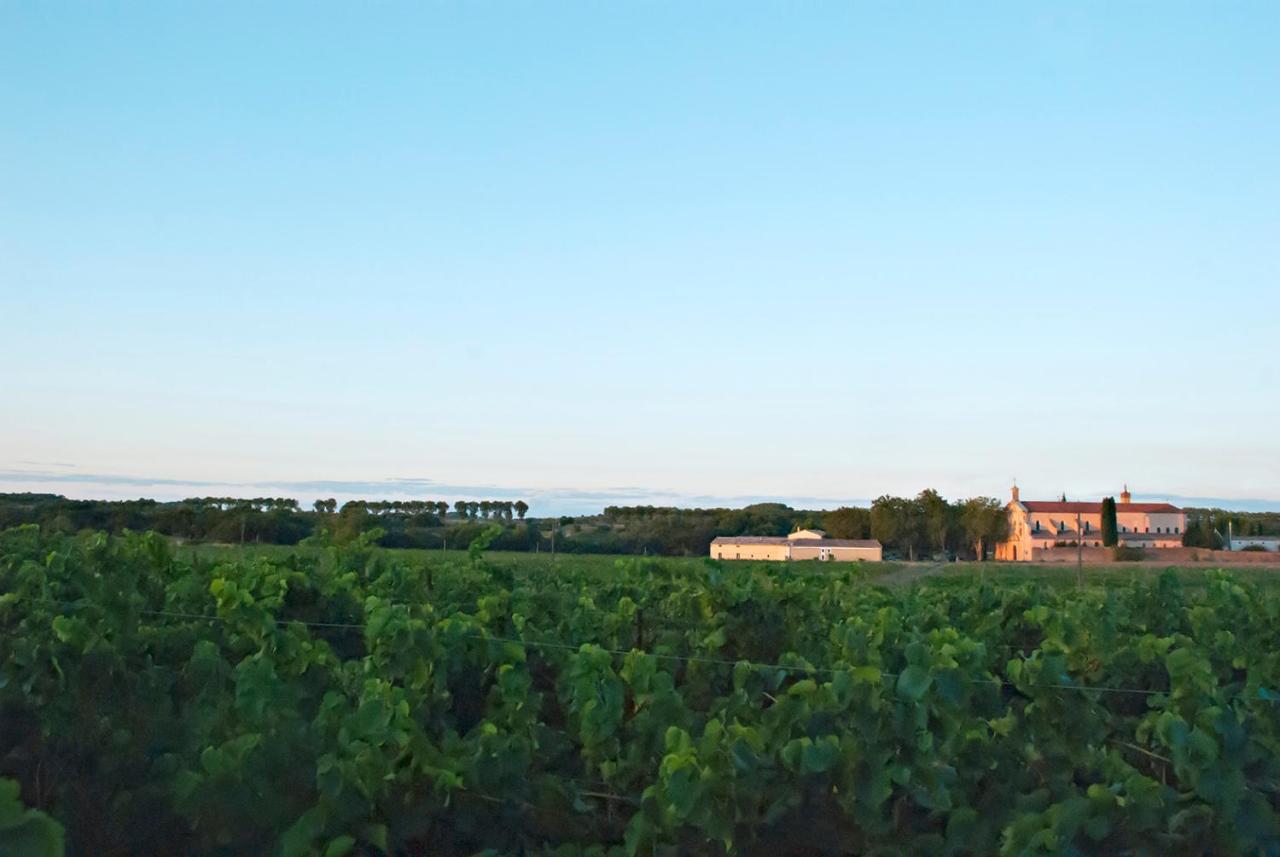 Bed and Breakfast Chartreuse De Mougeres - Caux Pezenas Екстер'єр фото